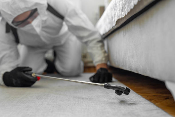 Professional Ant Control technician working in LaSalle Parish County, LA